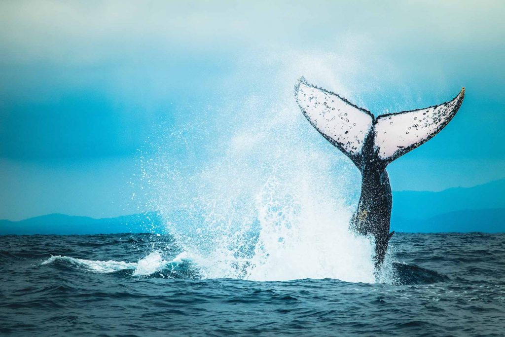 Landschaftsfotografie landscape travel David Kohlruss peru